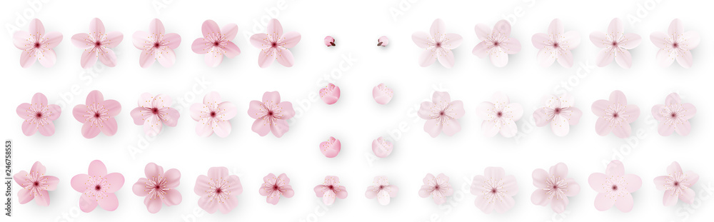 Obraz Realistic sakura or cherry blossom; Japanese Spring Flower Sakura; Pink Cherry Flower. fototapeta, plakat