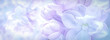 Beautiful purple lilac flowers blossom branch panorama background. Soft focus. Greeting gift card template. Pastel toned image. Nature abstract. Copy space