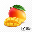  Whole and pieces mango fruit with leaf, 3D realistic isolated vector, editable handmade mesh