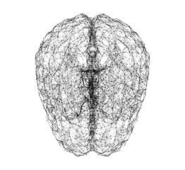 Aufkleber - Digital data and network connection of human brain isolated on white background in the form of artificial intelligence for technology and medical concept. Motion graphic. 3d abstract illustration