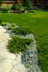 Wall Mural - Detail of a botanical garden