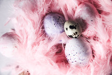 Easter Background With Easter Eggs And Pink Feathers. The View From The Top. Quail Egg