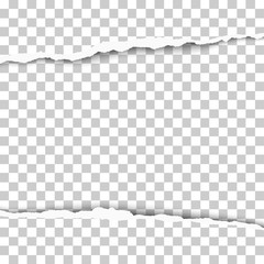 Wall Mural - Snatched middle of transparent paper which edges have soft shadow. Vector template paper design.