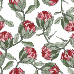 Tropical floral vector illustration for fashion, fabric. Surface and textile print. Protea Flowers hand drawn seamless pattern.