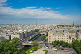 Fototapeta Boho - Paris overview from the top of Notre Dame