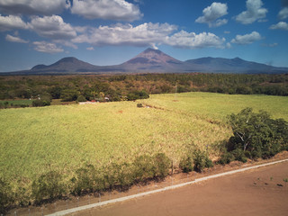 Wall Mural - Big farm near volcano