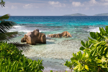 Wall Mural - Seychelles with a turqouise water and big stones and lot of green plants