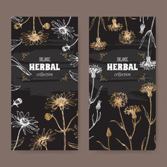 Wall Mural - Set of two labels with Arnica montana aka mountain arnica and Centaurea cyanus aka cornflower or bachelor button.