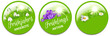 Button Set mit Frühlingsblumen, Schneeglöckchen, Krokuss, Margerite - Frühling