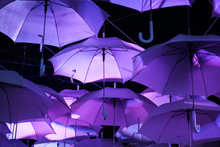 Purple Umbrella Hang On Wire For Decoration