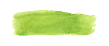 Light Green Watercolor Label. Vector Illustration.