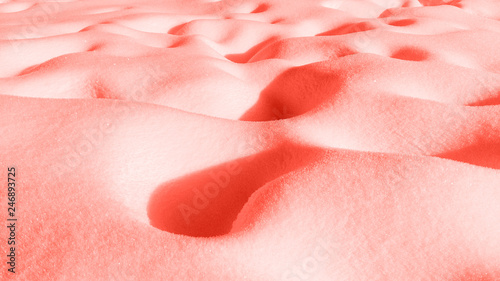Obraz na płótnie Trend photography on the theme of the new color of the year 2019 - Living Coral texture of snow powder background