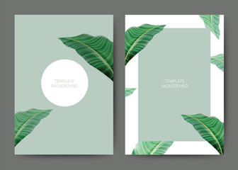 Template background banner for wedding card, spa, hotel, green leaf texture. Vector illustration