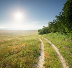 Lane in meadow and deep blue sky.