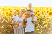 Happy Young Family, Mother Father And Two Kids, Are Smiling, Holding And Hugging Their Children In The Sunflower Field