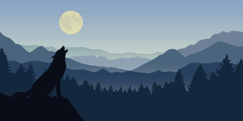 Wall Mural - wolf howls at the full moon blue foggy mountain and forest nature landscape vector illustration EPS10