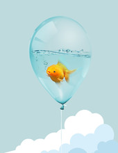 Goldfish Fly In Balloon . Mixed Media, Gold Fish Swimming In Blue Balloons On Blue Sky With .cloud Background