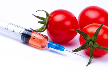 Pesticides and nitrates are injected into a red cherry tomatoes with a syringe. Gmo concept and genetically modified organism. Gmo free and natural vegetables without chemical additives.