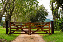 Wooden Gates To A Tree Lined Avenue.