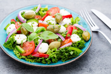 Vegetable salad with cheese mozzarella, tomatoes, basilikum and spice.