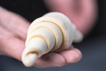 Wall Mural - Pastry chef hand showing a fresh uncooked croissant .