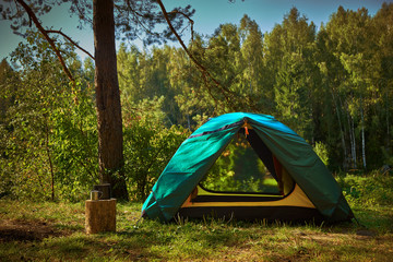 Wall Mural - camping in a forest clearing. hot tea in the pot. russia.