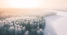 Beautiful Winter Scenery With Sunrise Over The Tree Tops Of Pine Forest. Sunlight Shines Through The Mist Creating Stunning Aerial Panorama. Moody Winter Day's Landscape With Warm Sunlight. 
