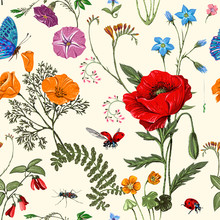 Summer Vector Seamless Pattern. Botanical Wallpaper. Plants, Insects, Flowers In Vintage Style. Butterflies, Beetles And Plants In The Style Of Provence. Drawn Nature Wallpaper. Summer Background