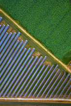 Aerial Photography Beautiful Outdoor Solar Photovoltaic Panel With Green Plants