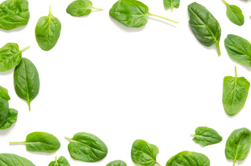 Wall Mural - Spinach leaves. Fresh Green spinach isolated on a white background