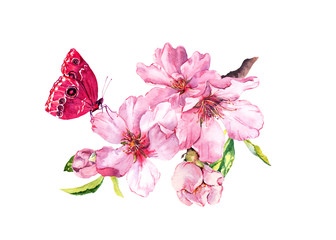 Wall Mural - Spring cherry, sakura flowers or pink apple blossom and butterfly. Flourish water color