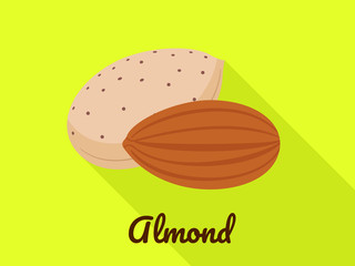 Poster - Almond icon. Flat illustration of almond vector icon for web design