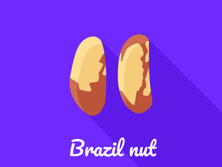 Poster - Brazil nut icon. Flat illustration of brazil nut vector icon for web design