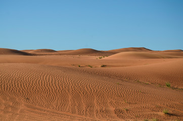  Sand dunes of Dubai