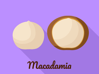 Poster - Macadamia icon. Flat illustration of macadamia vector icon for web design