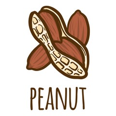 Poster - Peanut icon. Hand drawn illustration of peanut vector icon for web design