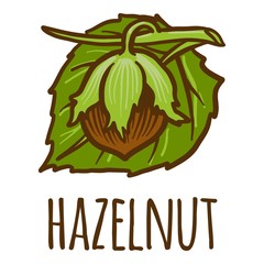 Poster - Hazelnut icon. Hand drawn illustration of hazelnut vector icon for web design
