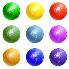 Poster - Bio chamomile icons vector 9 color set isolated on white background for any web design 