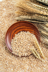 Wheat kernel and wheat ears