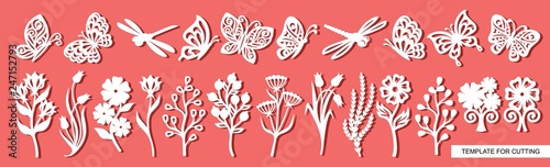 Fotomural Set of twigs, flowers, butterflies and dragonflies