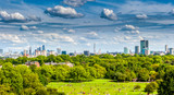 Fototapeta Londyn - London's skyline from Primrose Hill near camden in London