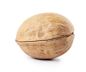 Wall Mural - Whole walnut isolated on white bakground.