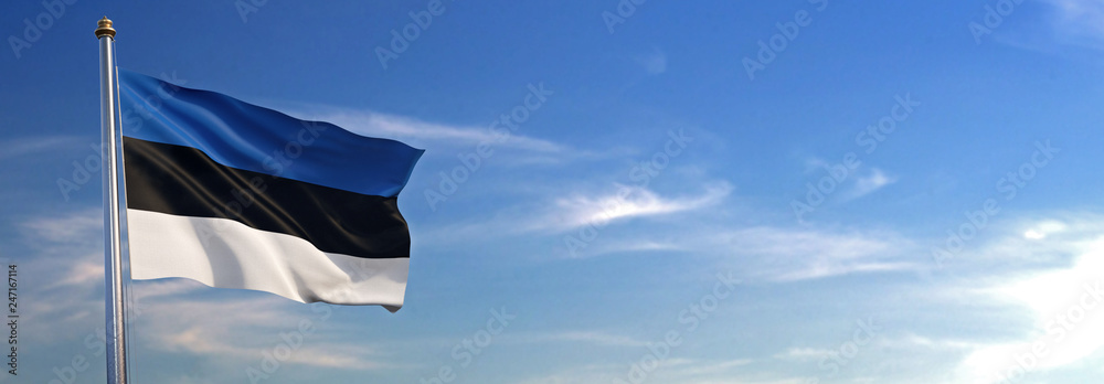 Flag of Estonia rise waving to the wind with sky in the background - obrazy, fototapety, plakaty 