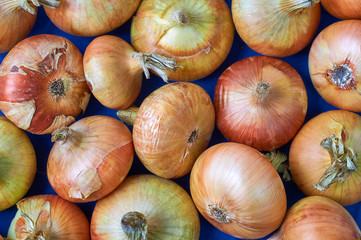 heads of fresh onion golden brown. Food background.  (corrected)