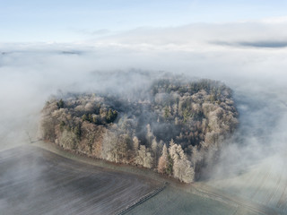 Wall Mural - Aerial view of forest in form of a heart underneath fog. Cold winter morning in Switzerland.