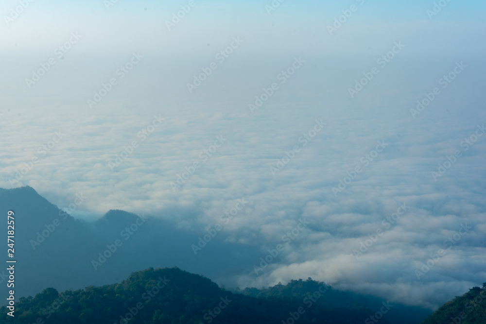 sea of fog on top of the mountain in pompee national park at Kanchanaburi, Thailand - obrazy, fototapety, plakaty 
