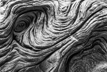 Driftwood Detail. Black And White Natural Textured Background