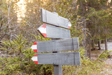 Blank directional signs in nature park in the woods