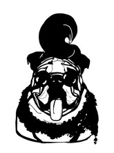 Cartoon Bulldog Characters  Big   Tongue Out  Illustration  And Sun Glasses And  Funny Hair  Black White  Colors