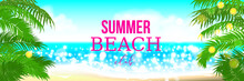 Summer Time Club Seashore Palm Landscape